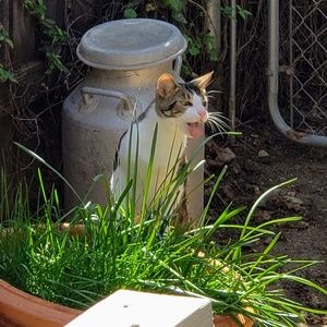 Meet your Posher, Hillary